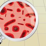 Bacterian under magnifying glass clipart